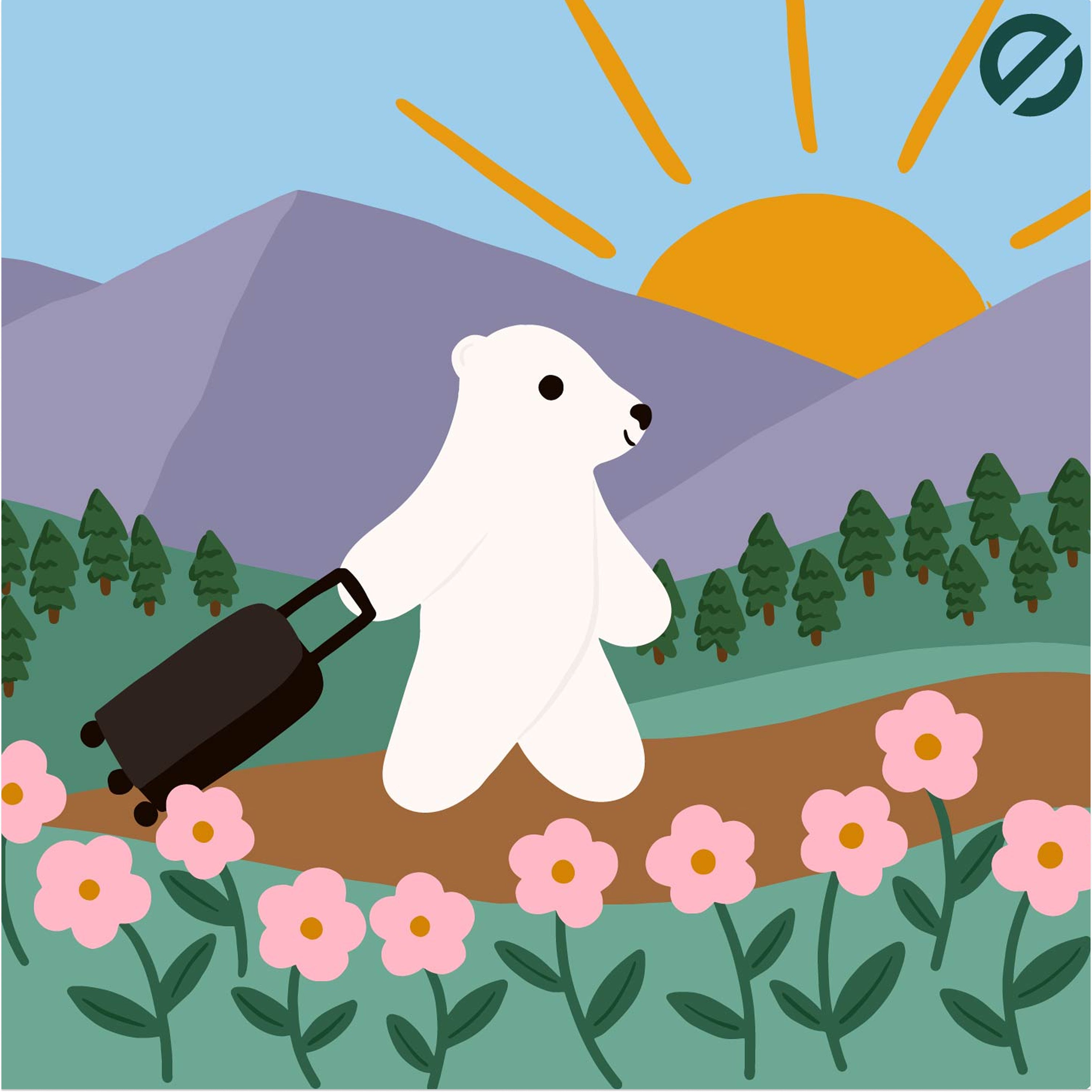 VIP Hybrid Carry-on Luggage + Free vacuum bag + Pump +Shoe bag + Free custom designed stickers